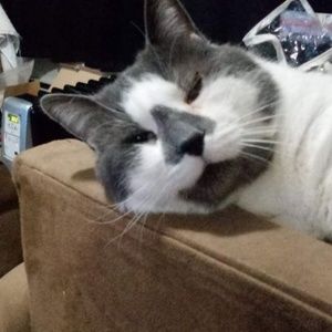 Meet your Posher, M-j